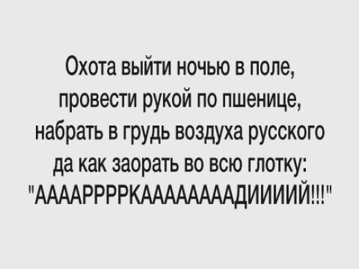 user-rubachok_photo-4590